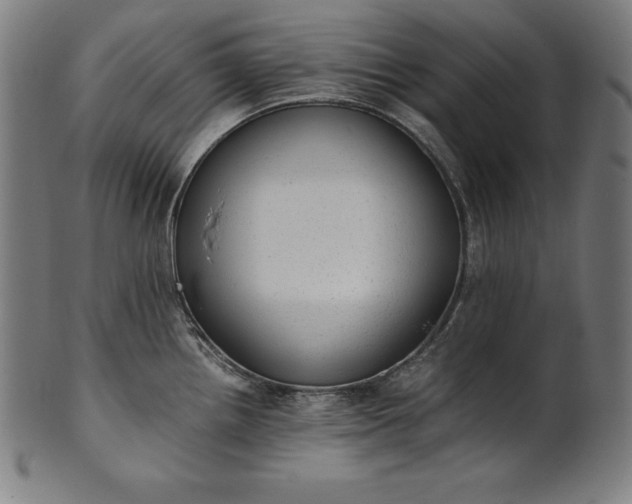 X0000101191242200807110937