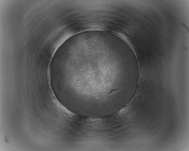 X0000101191243200807110937