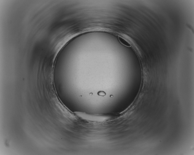 X0000101191244200807110937