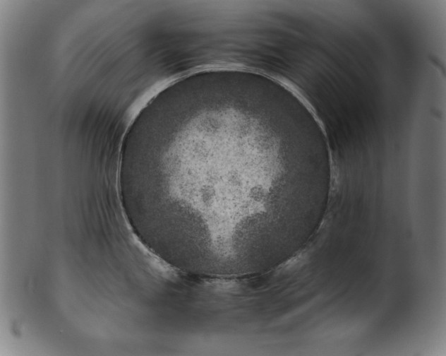 X0000101191245200807110937
