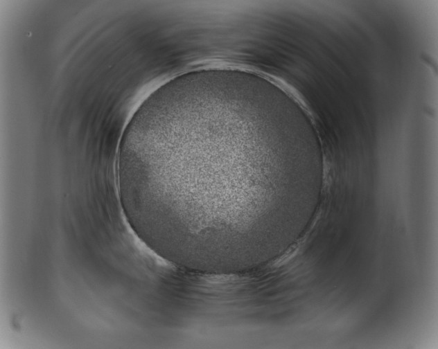 X0000101191247200807110937