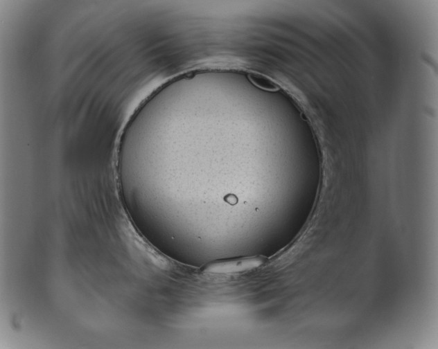 X0000101191248200807110937