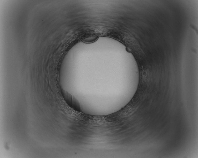 X0000101191249200807110936