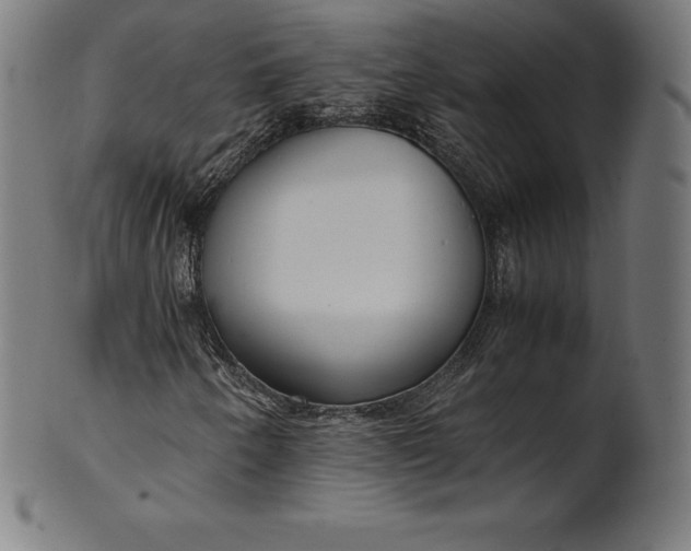 X0000101191250200807110936