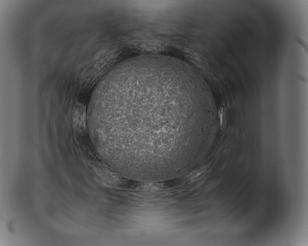 X0000101191251200807110936