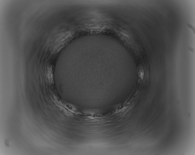 X0000101191252200807110936