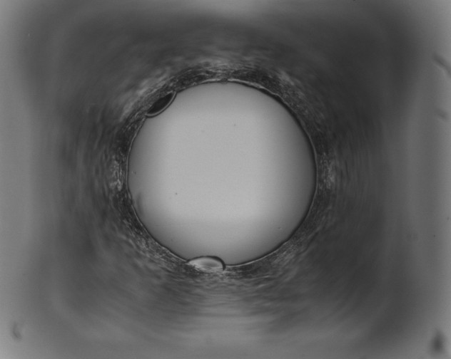 X0000101191253200807110936