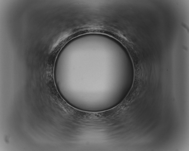 X0000101191255200807110936