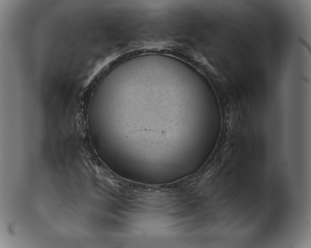 X0000101191256200807110936
