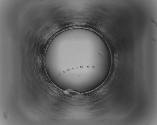 X0000101191257200807110936