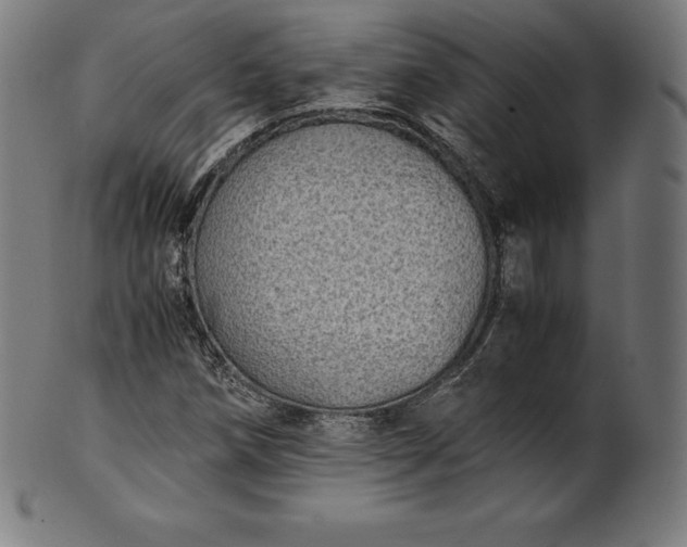 X0000101191258200807110936