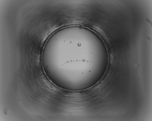 X0000101191260200807110936