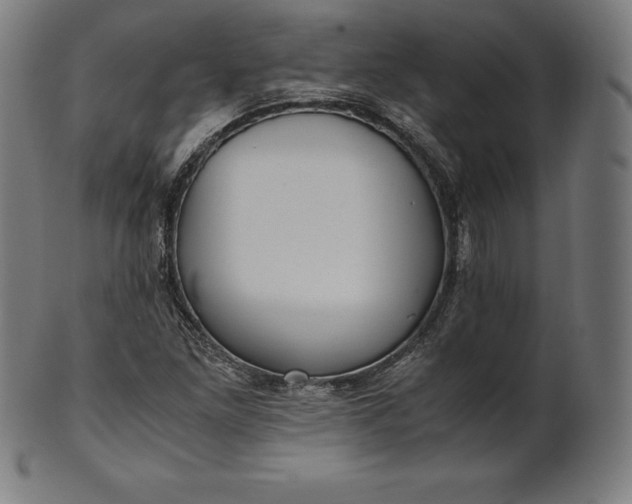 X0000101191261200807110936