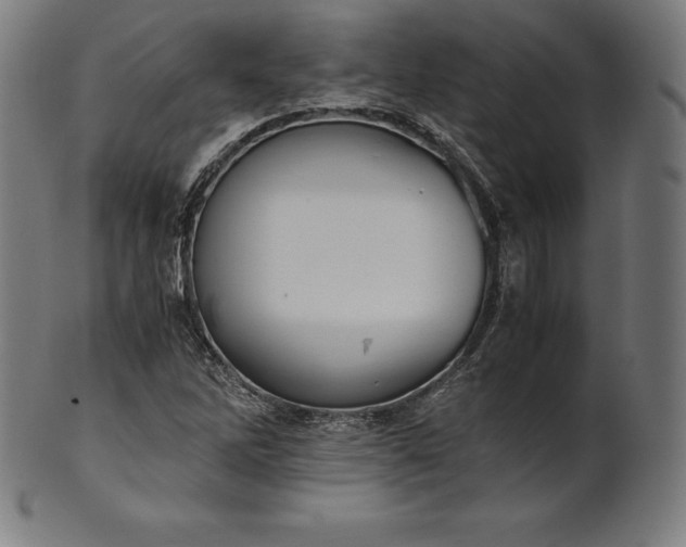 X0000101191262200807110936