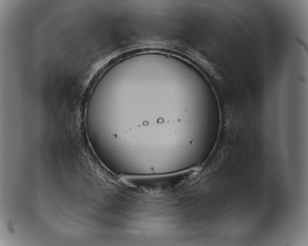 X0000101191264200807110936