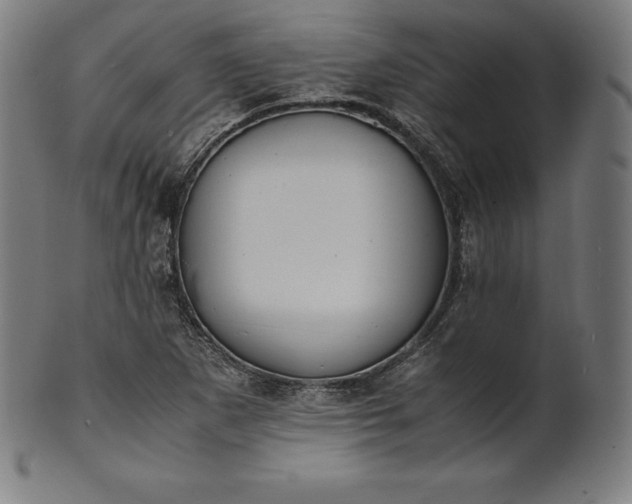 X0000101191265200807110936