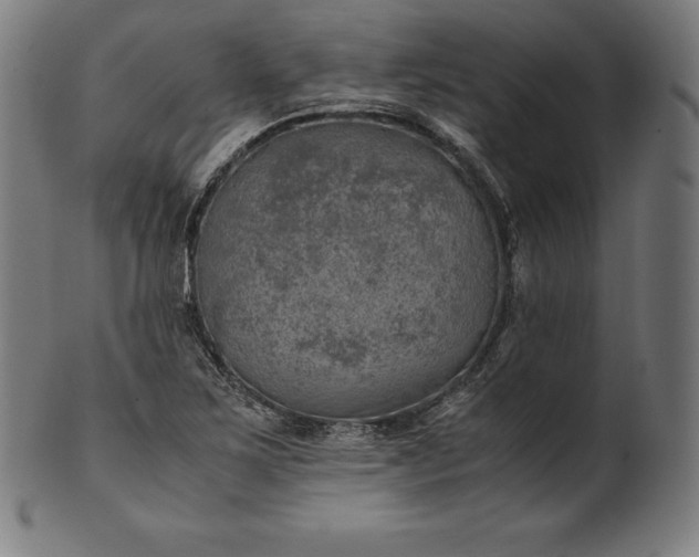 X0000101191267200807110936