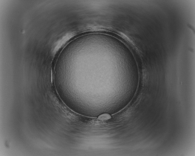 X0000101191269200807110936