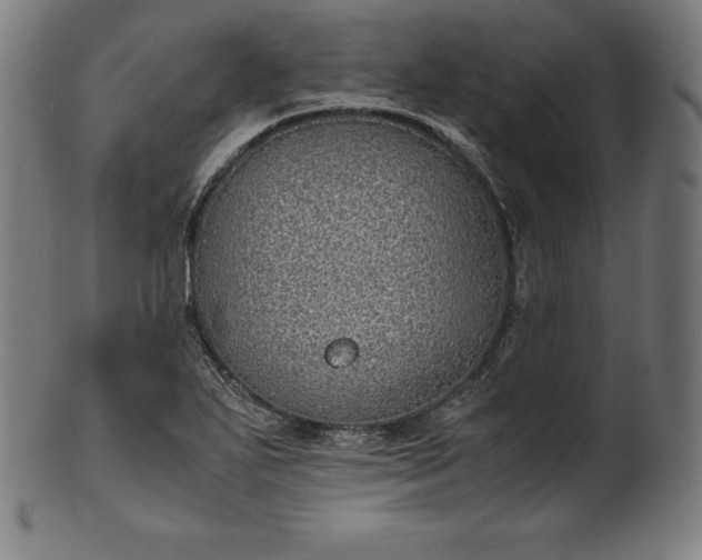 X0000101191271200807110936