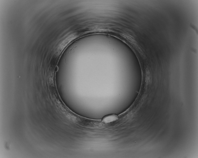 X0000101191273200807110936