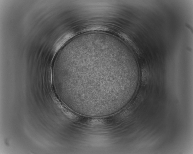 X0000101191274200807110936