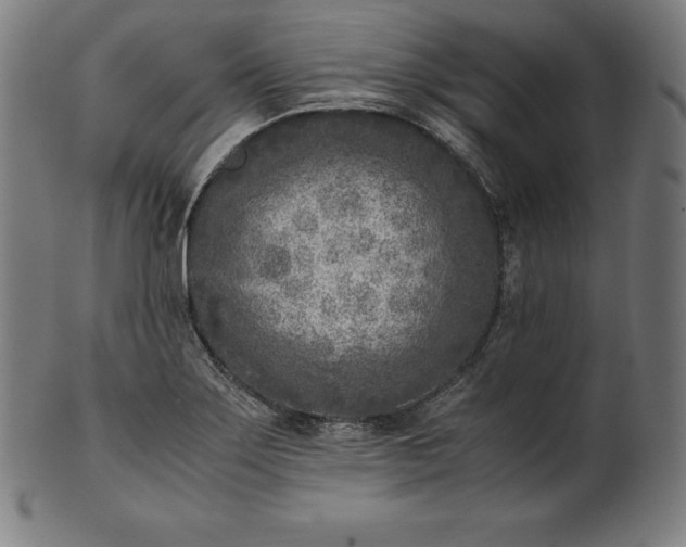 X0000101191275200807110936