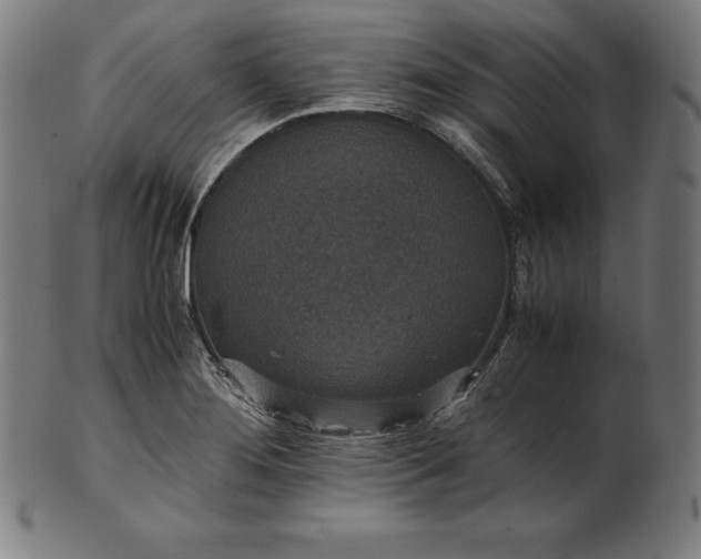 X0000101191276200807110936