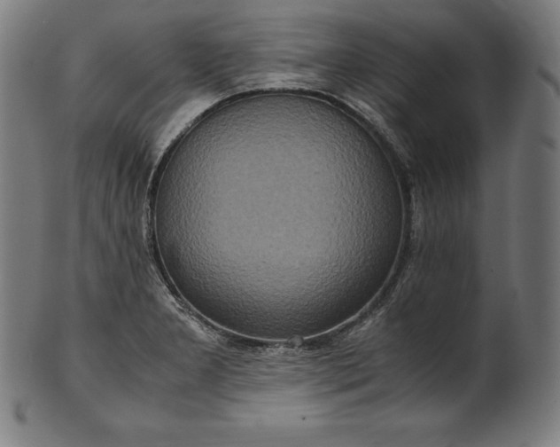 X0000101191277200807110936