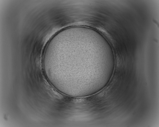X0000101191278200807110936
