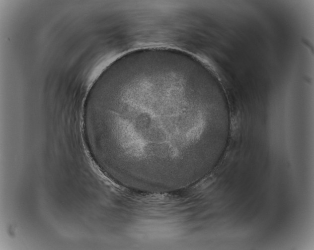 X0000101191279200807110936