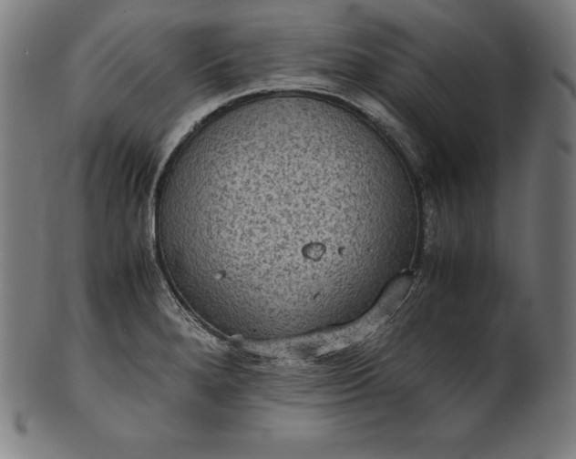X0000101191280200807110936