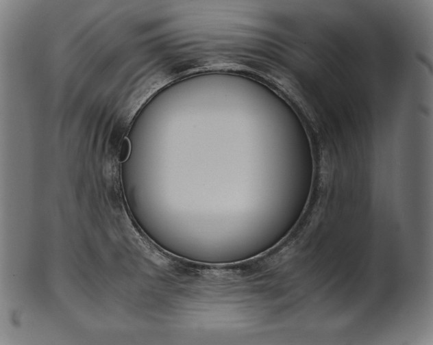 X0000101191281200807110936