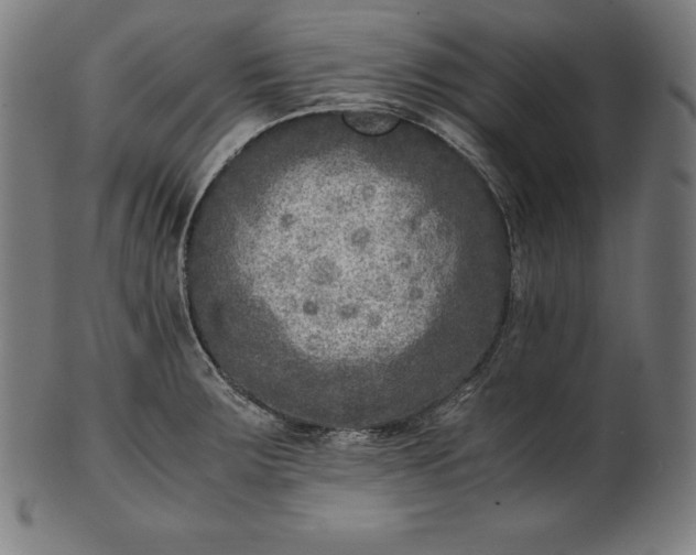 X0000101191283200807110936