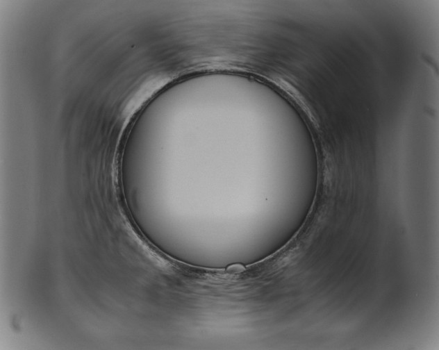X0000101191285200807110936