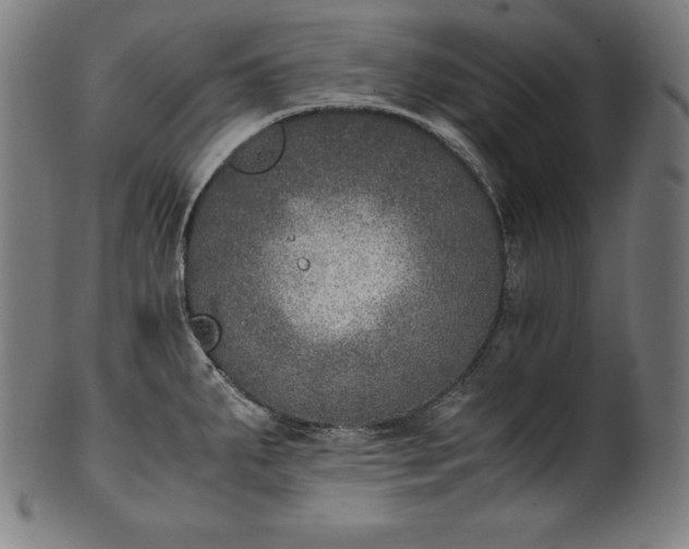 X0000101191287200807110936