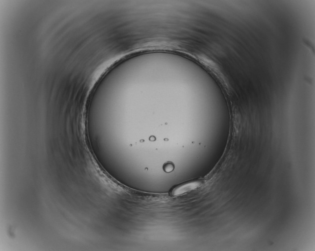 X0000101191288200807110936