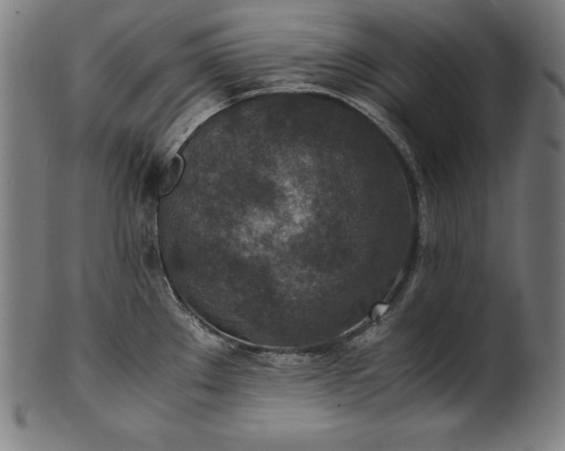 X0000101191289200807110936