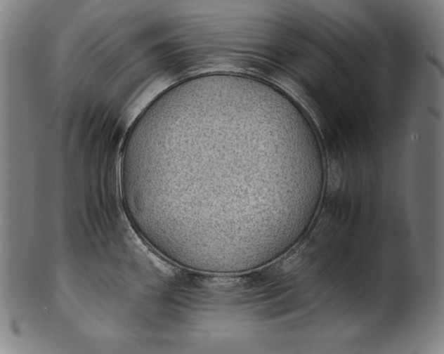 X0000101191290200807110936