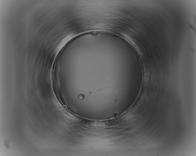 X0000101191291200807110936