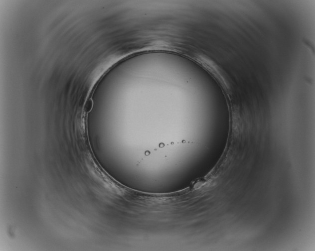 X0000101191292200807110936