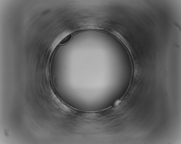 X0000101191293200807110936