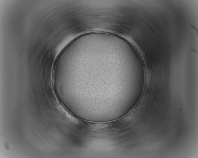 X0000101191294200807110936