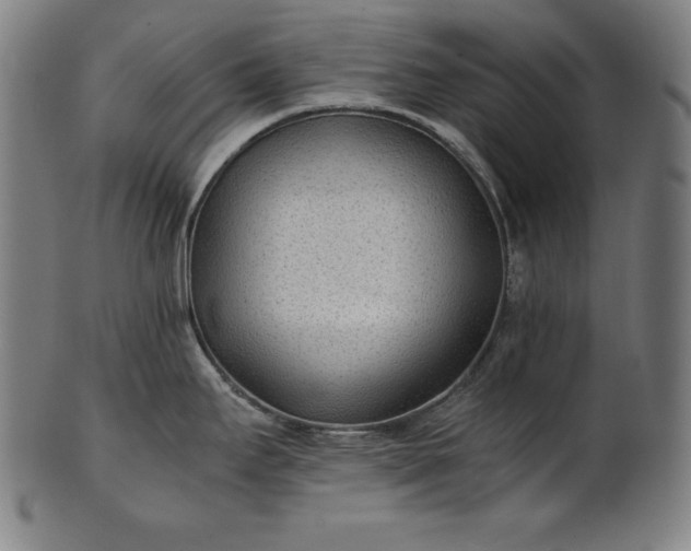 X0000101191295200807110936