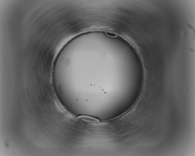 X0000101191296200807110936