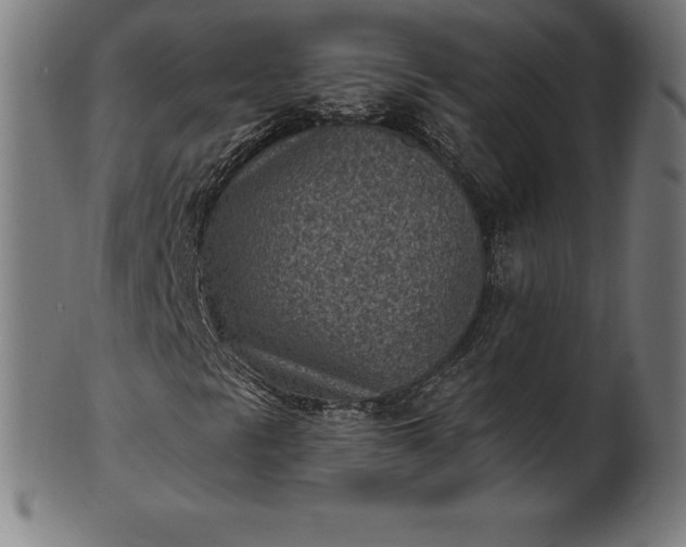 X0000101191297200807110935