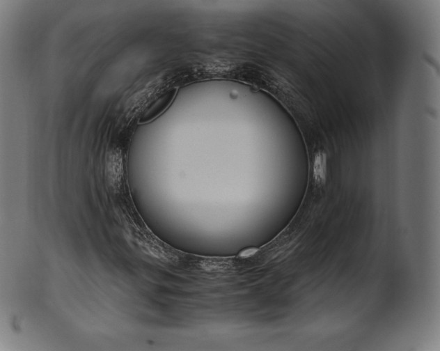 X0000101191299200807110935