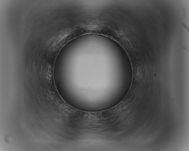 X0000101191301200807110935