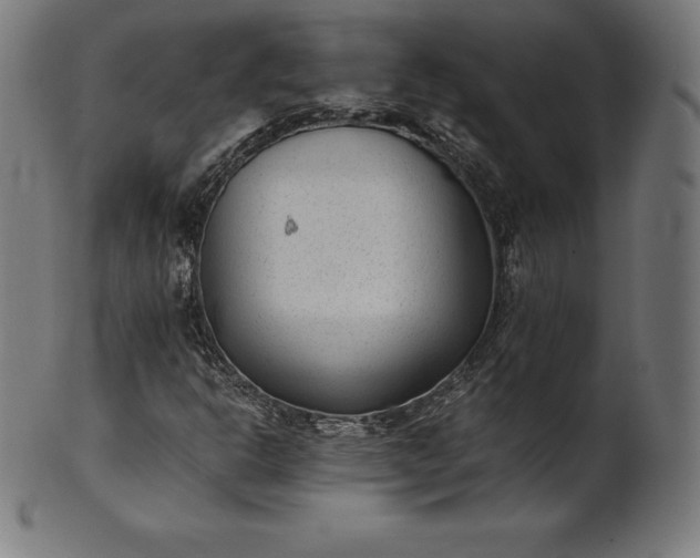 X0000101191302200807110935