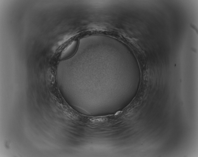 X0000101191303200807110935