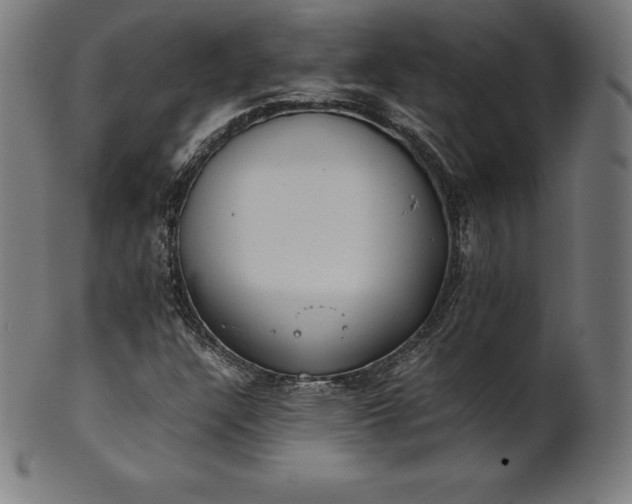 X0000101191304200807110935